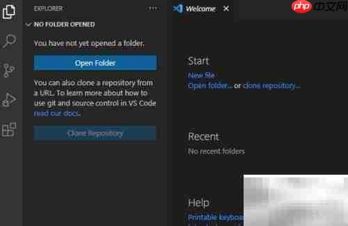 关闭VS Code编码透镜方法