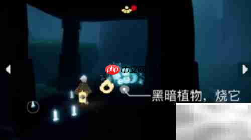 光遇1.12每日任务速通攻略