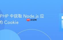 如何在 PHP 中获取 Node.js 应用发送的 Cookie