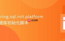 使用 spring.sql.init.platform 指定数据库初始化脚本