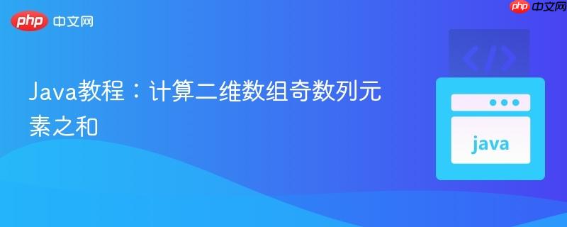 Java教程:计算二维数组奇数列元素之和
