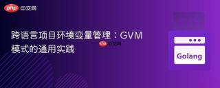 跨语言项目环境变量管理：GVM模式的通用实践