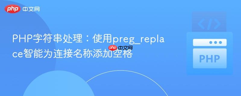 PHP字符串处理：使用preg_replace智能为连接名称添加空格