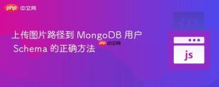 上传图片路径到 MongoDB 用户 Schema 的正确方法