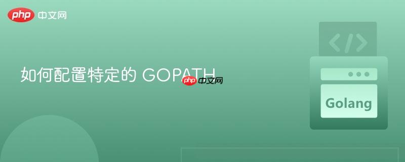 如何配置特定的 GOPATH