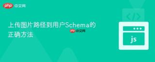上传图片路径到用户Schema的正确方法