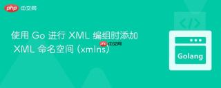 使用 Go 进行 XML 编组时添加 XML 命名空间 (xmlns)
