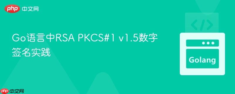 Go语言中RSA PKCS#1 v1.5数字签名实践