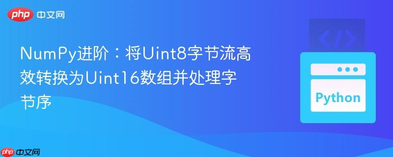 NumPy进阶:将Uint8字节流高效转换为Uint16数组并处理字节序