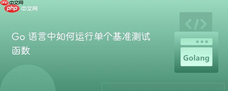 Go 语言中如何运行单个基准测试函数