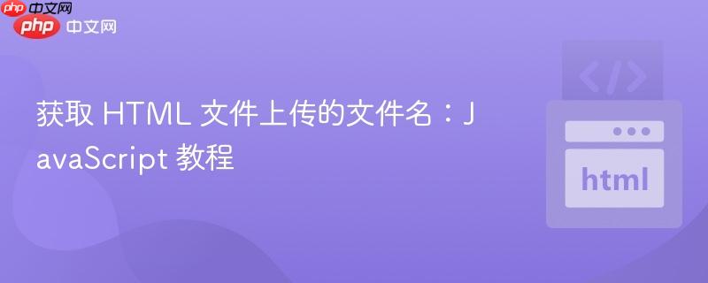 获取 HTML 文件上传的文件名：JavaScript 教程
