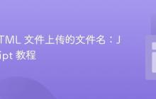 获取 HTML 文件上传的文件名：JavaScript 教程