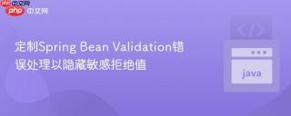 定制Spring Bean Validation错误处理以隐藏敏感拒绝值