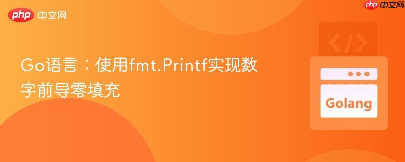 Go语言:使用fmt.Printf实现数字前导零填充
