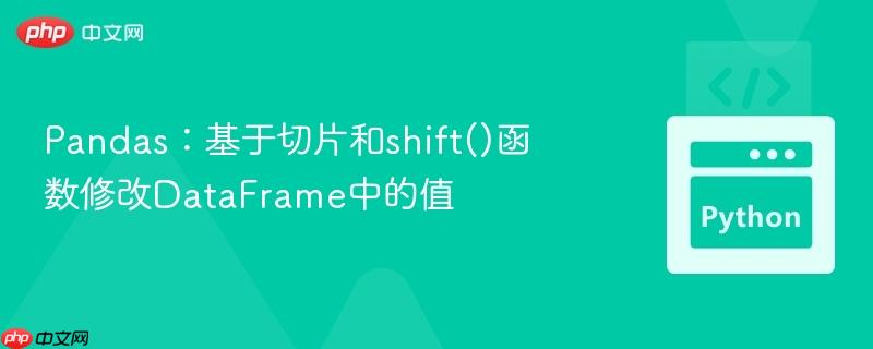 pandas:基于切片和shift()函数修改dataframe中的值