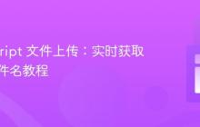 JavaScript 文件上传：实时获取选定文件名教程
