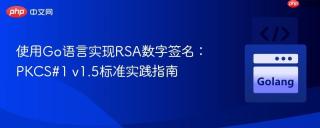 使用Go语言实现RSA数字签名：PKCS#1 v1.5标准实践指南