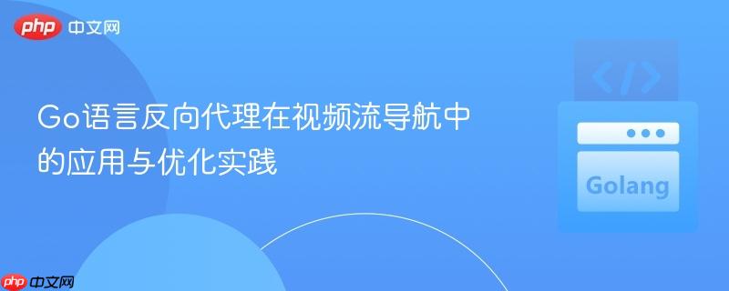 Go语言反向代理在视频流导航中的应用与优化实践
