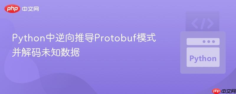 Python中逆向推导Protobuf模式并解码未知数据