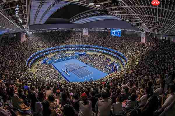 中网赛事AI活力迸发 ThinkPad见证冠军时刻