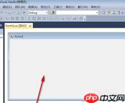 vs2010怎么在页面使用控件