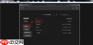 Premiere如何制作怀旧风格视频