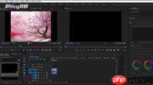 Premiere如何制作怀旧风格视频