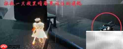 光遇1.21每日任务速通指南