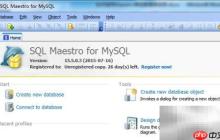 Maestro存储过程参数添加指南