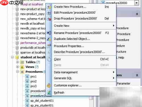 Maestro存储过程参数添加指南