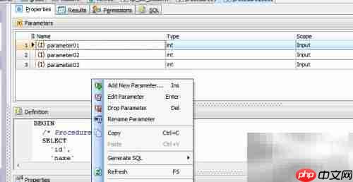 Maestro存储过程参数添加指南