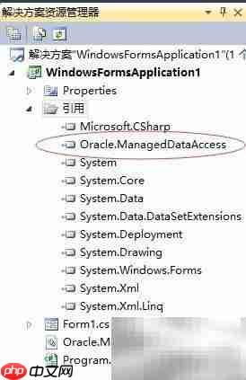 免安装直连Oracle数据库
