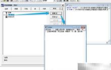 vf6.0表单显示文本内容