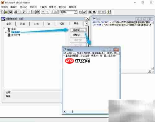 vf6.0表单显示文本内容