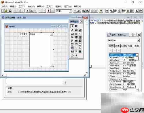 vf6.0表单显示文本内容