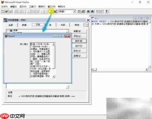 vf6.0表单显示文本内容