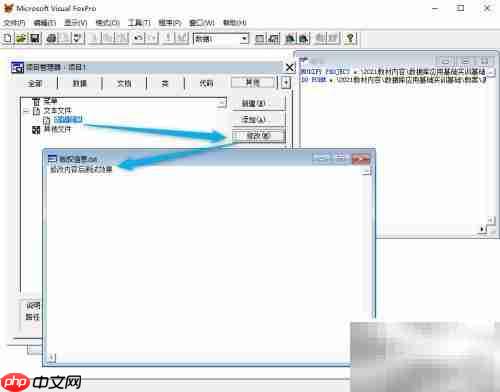 vf6.0表单显示文本内容