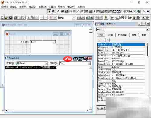 vf6.0表单显示文本内容