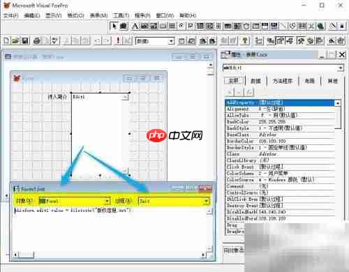 vf6.0表单显示文本内容