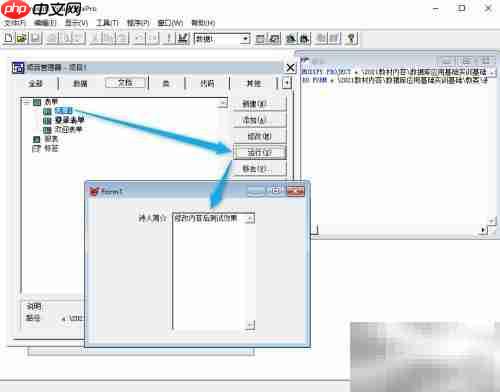 vf6.0表单显示文本内容