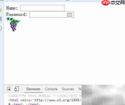jQuery选取image类型input元素