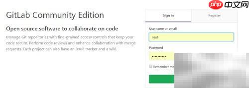 GitLab项目Deploy Tokens配置指南