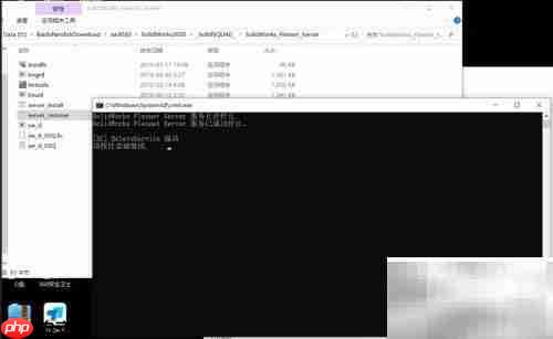 SW提示：无法获取SolidWorks Standard许可
