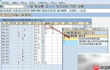 SAP WM快速创建TO配置