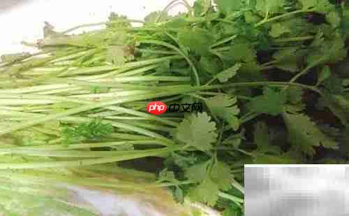 美味鸡胗家常做法