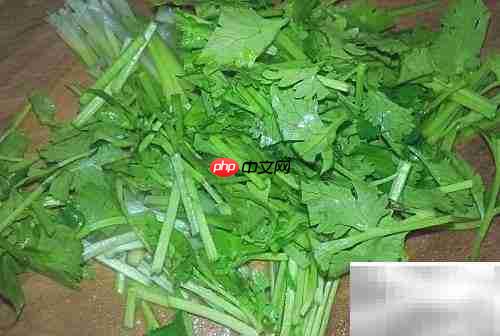 美味鸡胗家常做法