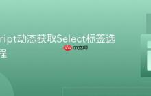 JavaScript动态获取Select标签选中值教程