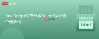 JavaScript动态获取Select标签选中值教程