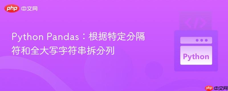 python pandas：根据特定分隔符和全大写字符串拆分列