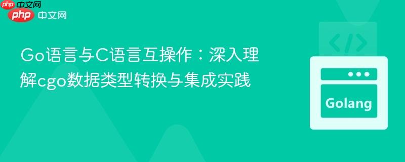 Go语言与C语言互操作:深入理解cgo数据类型转换与集成实践